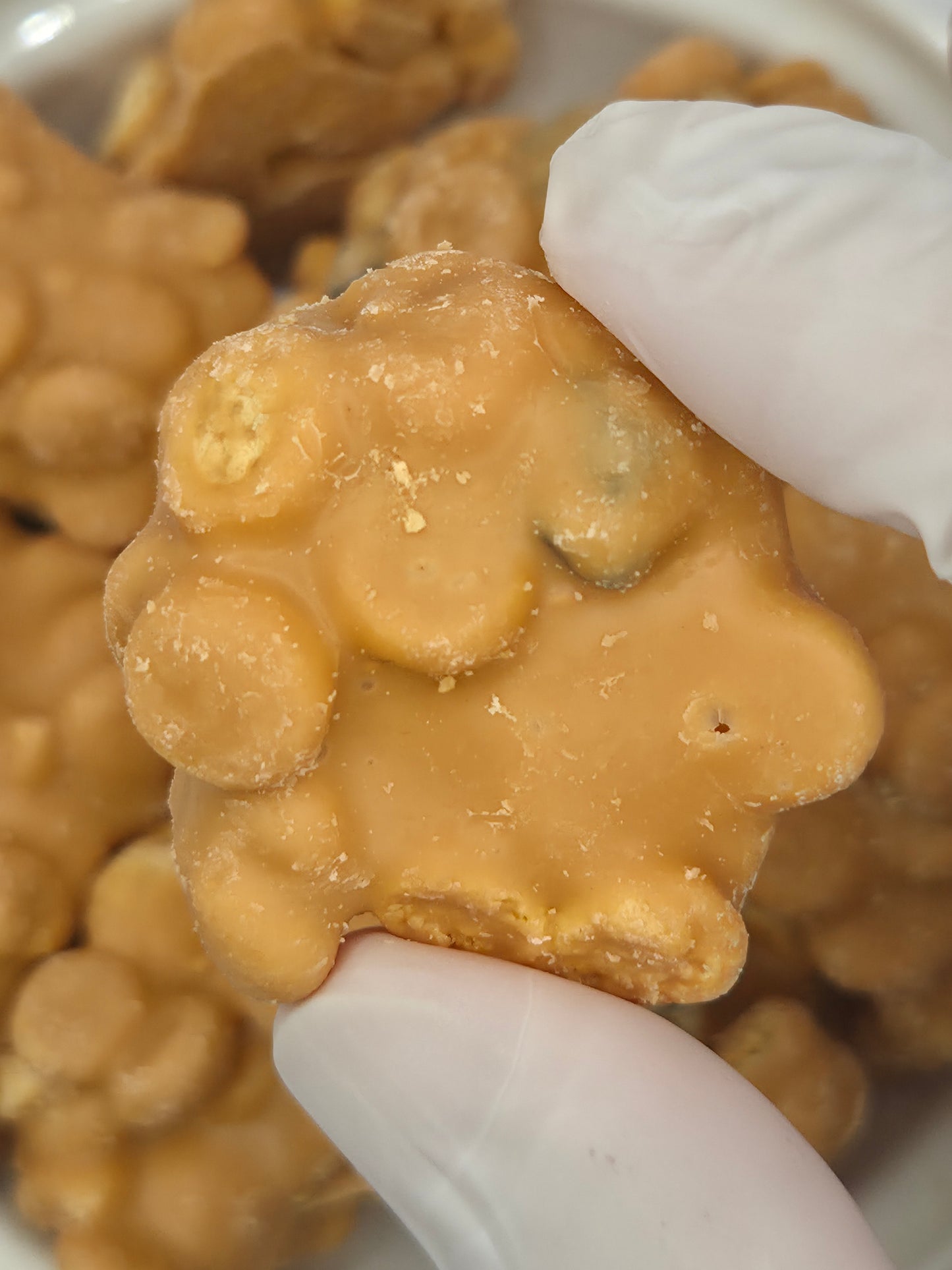 Biscuits Gourmands – Myrtille • Apple Pie • Cookie