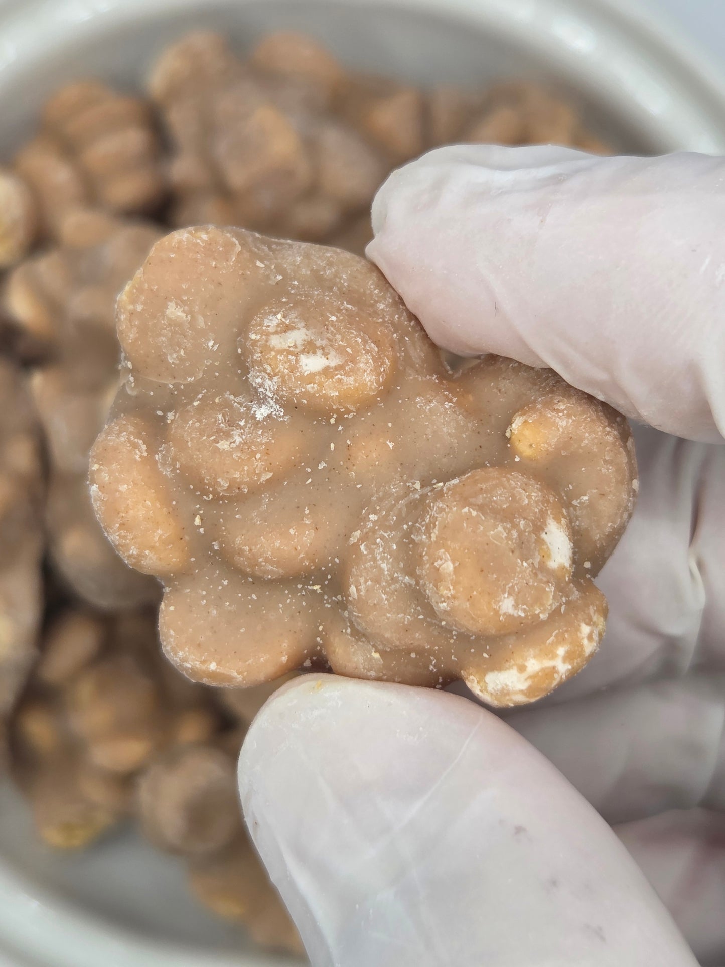 Biscuits Gourmands – Myrtille • Apple Pie • Cookie